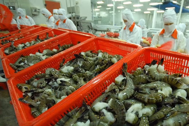 Croissance des exportations nationales de crevettes en Corée du Sud ảnh 1