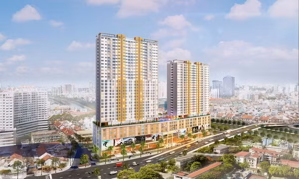 Les investisseurs hongkongais visent l’immobilier et l’agriculture vietnamiens ảnh 1
