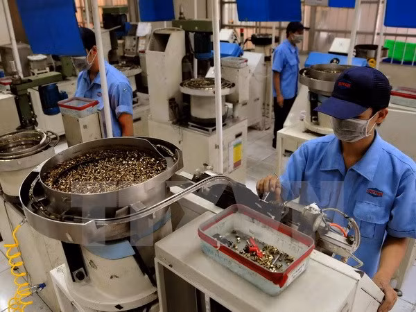 Promotion des relations entre le Vietnam, le Moyen-Orient et l'Afrique ảnh 1