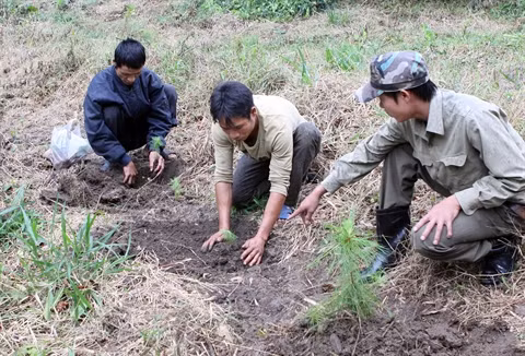 L’appel de la forêt du Tây Nguyên ảnh 2