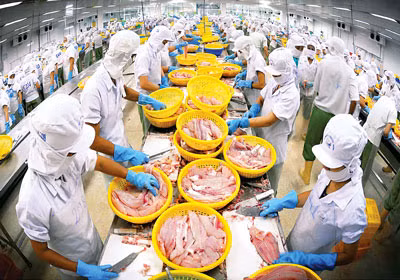 17 entreprises vietnamiennes autorisées à exporter des produits aquatiques au Panama ảnh 1
