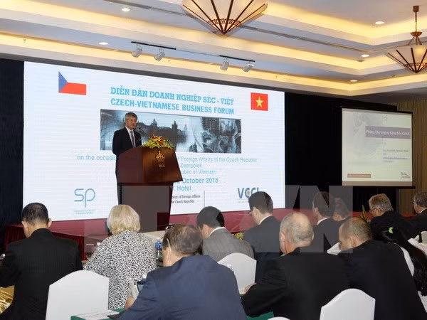 La presse tchèque salue les acquis de 30 ans de Renouveau au Vietnam ảnh 1