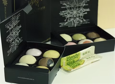 Les gâteaux du mi-automne 2016 en vedette ảnh 2