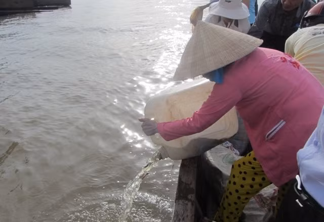 Hâu Giang : lâcher de 1.280 kg d'alevins de toutes sortes ảnh 1