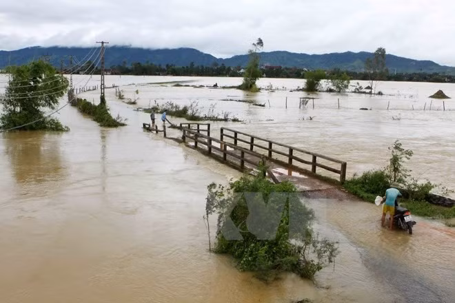 Octroi de près de 3.600 tonnes de riz à Ha Tinh et Son La ảnh 1