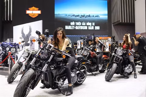 Exposition internationale d’automobiles à Hô Chi Minh-Ville ảnh 3