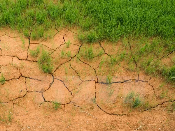 Environnement : le Vietnam partage ses politiques lors d'un sommet régional ảnh 1