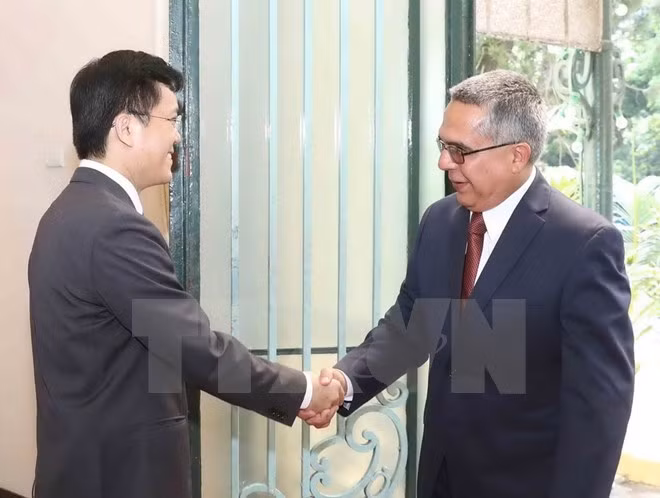 Une délégation du ministère cubain des AE au Vietnam ảnh 1