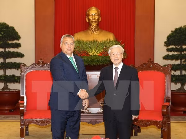 Des dirigeants vietnamiens reçoivent le Premier ministre hongrois ảnh 1