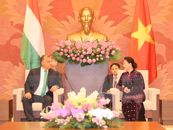 Des dirigeants vietnamiens reçoivent le Premier ministre hongrois ảnh 3