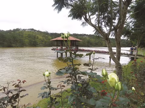 La vallée de l’Amour, lieu culte des tourtereaux à Dà Lat ảnh 2 La vallée de l’Amour, lieu culte des tourtereaux à Dà Lat ảnh 2