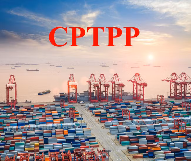 Le Vietnam et la Nouvelle-Zélande préparent l’entrée en vigueur du CPTPP ảnh 1