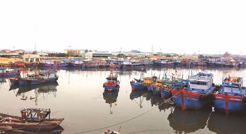 Le secteur de la pêche manque de main-d’œuvre ảnh 1
