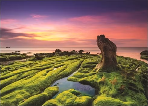 Les plages du Vietnam, chefs-d'œuvre de la nature ảnh 3