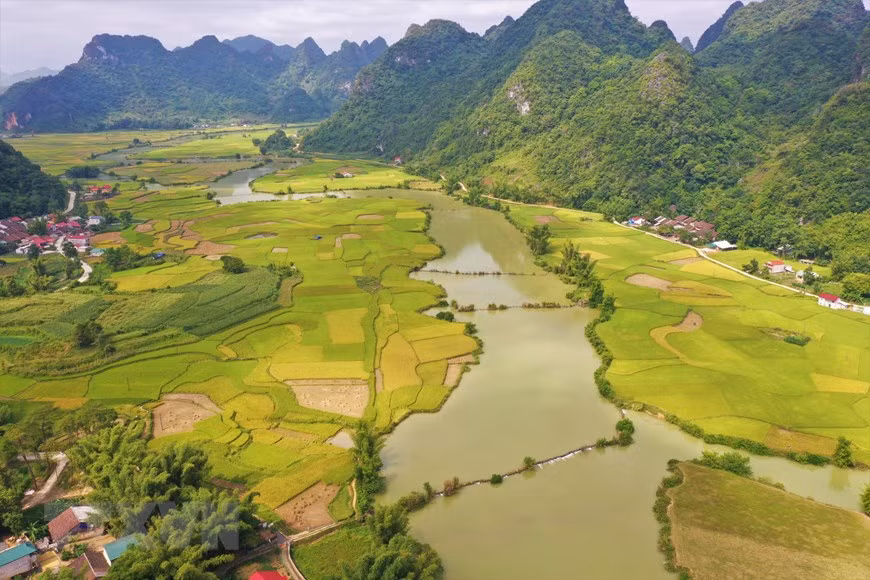 Les Journées du Vietnam en Suisse 2021 auront lieu en ligne en octobre ảnh 3