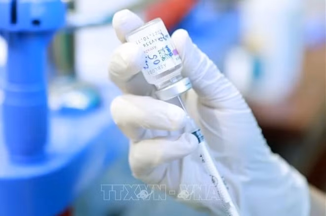 Le Royaume-Uni et la République tchèque fournissent au Vietnam 665.000 doses de vaccin anti-COVID-19 ảnh 1 Le Royaume-Uni et la République tchèque fournissent au Vietnam 665.000 doses de vaccin anti-COVID-19 ảnh 1