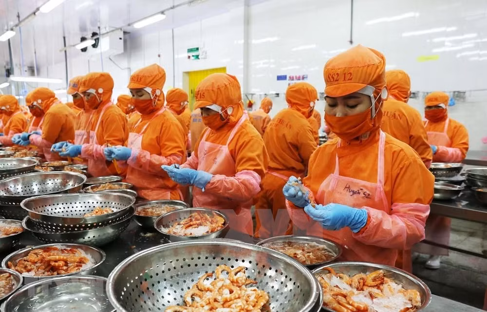 CIEM: Améliorer l'autonomie de l'économie pour profiter du RCEP ảnh 1