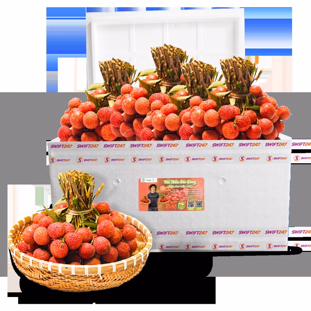 Vietjet s'associe pour promouvoir les exportations et la consommation de litchis ảnh 2