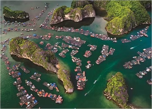 Les plages du Vietnam, chefs-d'œuvre de la nature ảnh 2