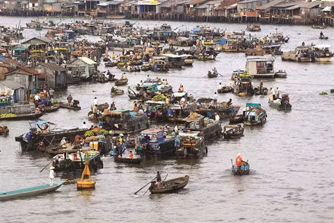 Les belles couleurs des marchés flottants au Nouvel An lunaire ảnh 1