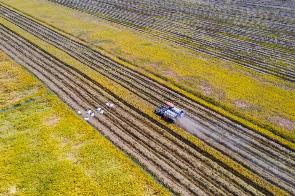 La beauté impressionnante des villages de métiers traditionnels du Vietnam ảnh 11