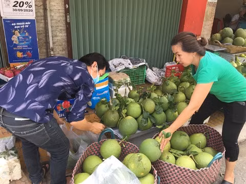 Les cinq filières nationales qui exporteront le plus vers l’Europe en 2021 ảnh 2