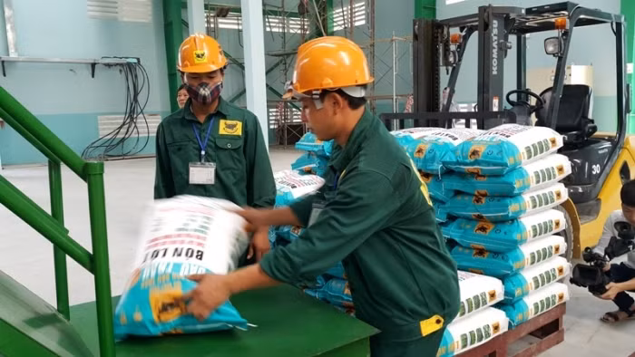 Engrais: Les entreprises vietnamiennes à la conquête du marché de l'ASEAN ảnh 1
