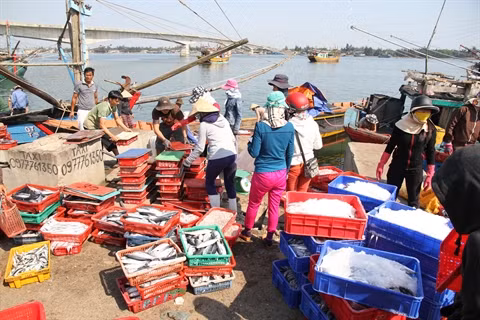 Des fonds pour soutenir la pêche dans le Centre ảnh 1