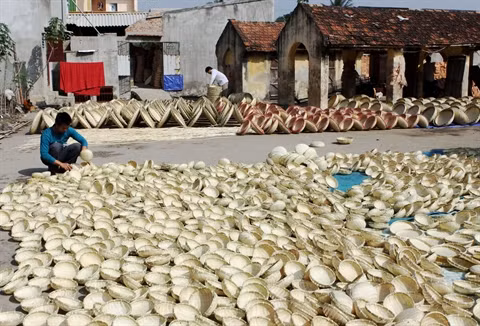 Thanh Hoa cherche à préserver ses villages de métiers ảnh 1