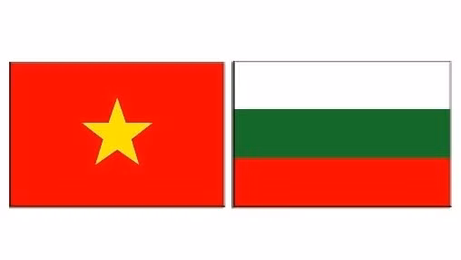La Journée de l'écriture slave de Bulgarie célébrée au Vietnam ảnh 1