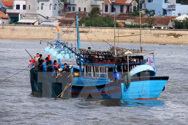 Phu Yen renforce la communication auprès des pêcheurs sur les élections ảnh 1