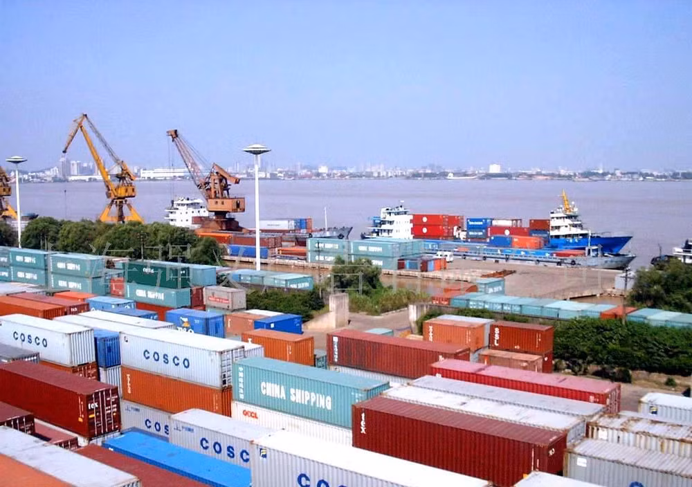 Nikkei: le TPP dynamisera les exportations et l'investissement au Vietnam ảnh 1