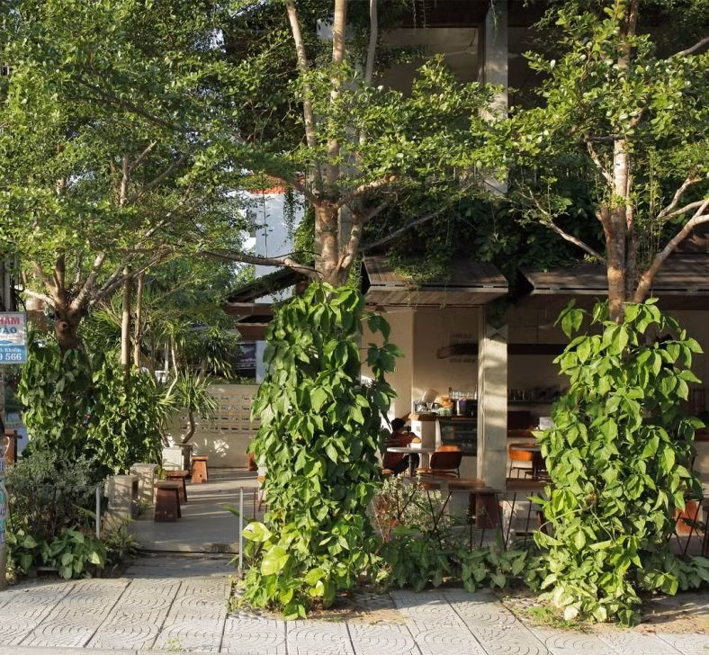 Un café vert à Hôi An apparaît sur le magazine américain Archdaily ảnh 1