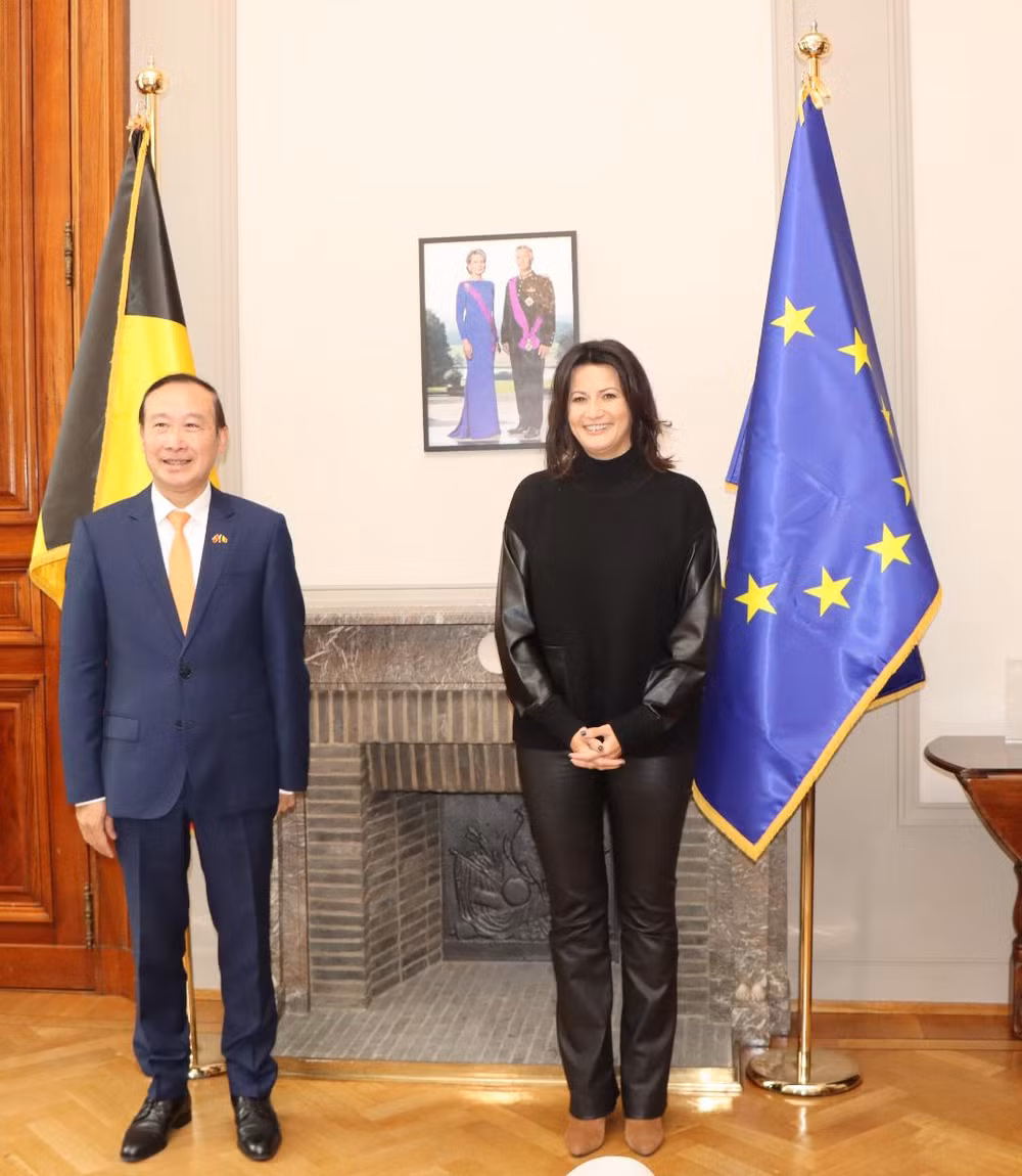 Vietnam – Belgique : perspectives de coopération dans de nombreux domaines ảnh 1