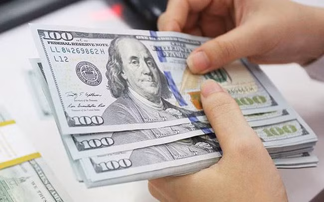 Le Vietnam investit 432 millions de dollars à l'étranger en 2018 ảnh 1