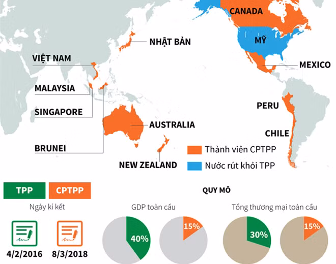 Le Premier ministre approuve le plan d’application du CPTPP ảnh 1