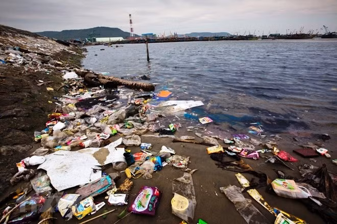 Coopération internationale dans le règlement des déchets plastiques en Mer Orientale ảnh 1