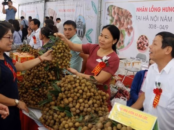 Hung Yên intensifie la promotion de ses produits agricoles ảnh 1