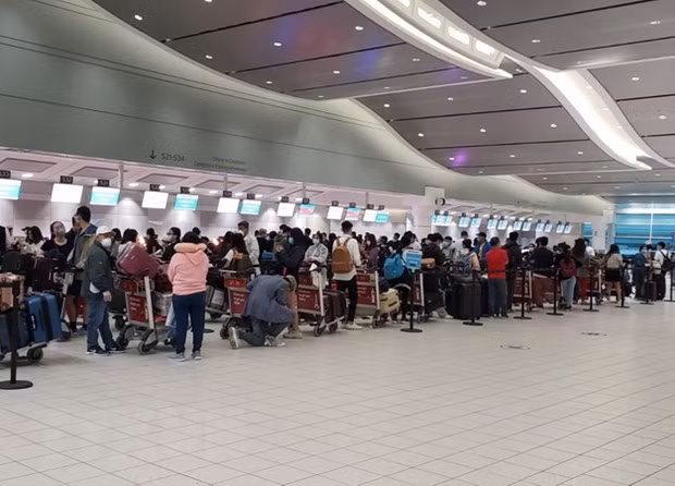 340 citoyens vietnamiens bloqués au Canada rapatriés ảnh 1