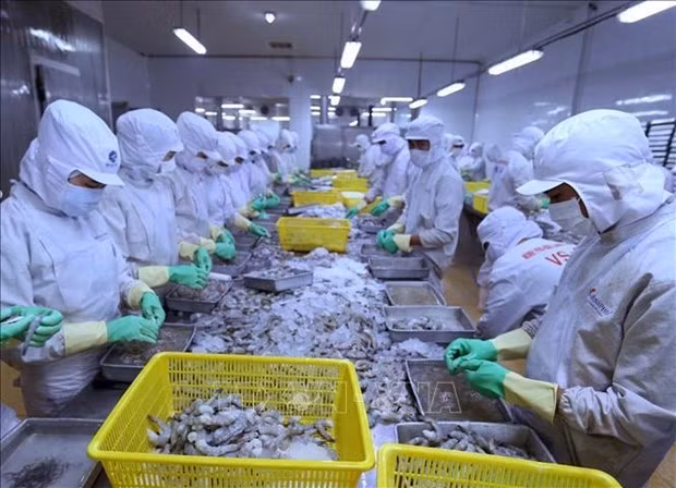 La Russie, marché potentiel des produits agricoles et aquatiques vietnamiens ảnh 1