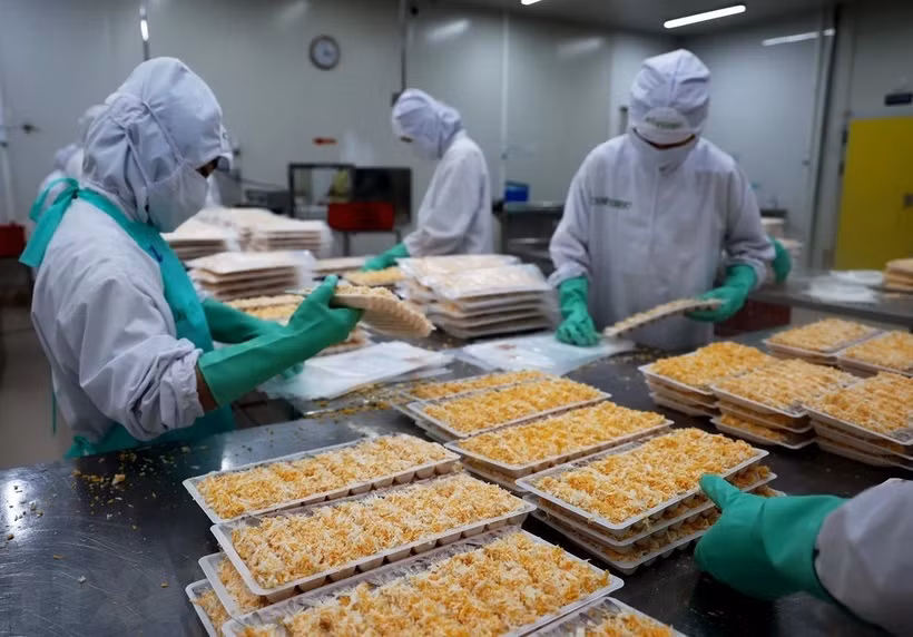 La transformation en profondeur augmente la compétitivité des crevettes vietnamiennes ảnh 2