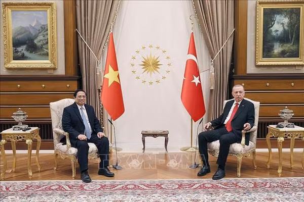 Le Vietnam et la Turquie renforcent leur coopération multiforme ảnh 1