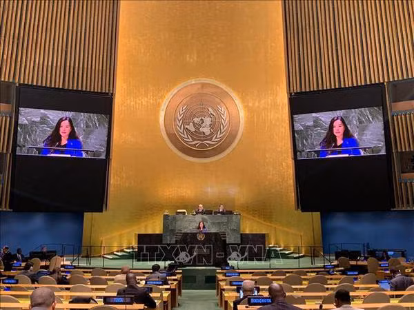 Le Vietnam soutient la réforme opérationnelle de l’AG de l’ONU ảnh 1