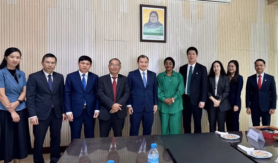 Une délégation du Comité directeur du Service d'information pour l’étranger en visite au Qatar, en Égypte et en Tanzanie ảnh 3