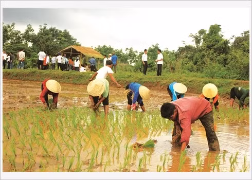La fête de descente aux champs des Khmers ảnh 1