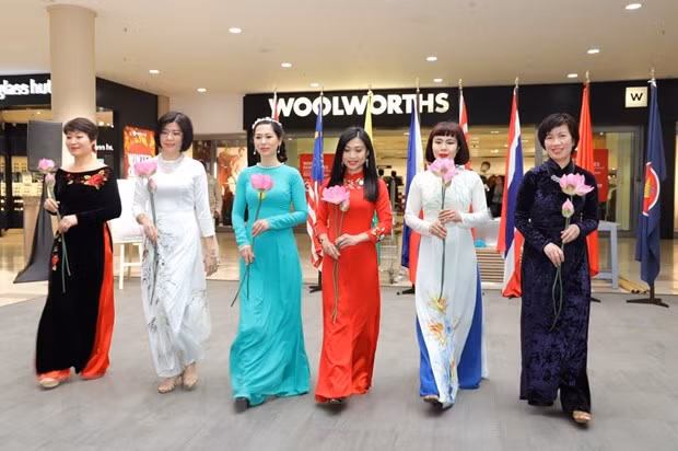 Le Vietnam contribue activement au Festival de l'ASEAN en Afrique du Sud ảnh 2