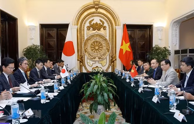 Le Vietnam et le Japon veulent renforcer leur partenariat stratégique étendu ảnh 1