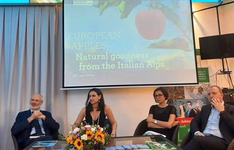 Des pommes italiennes seront bientôt présentes au Vietnam ảnh 1