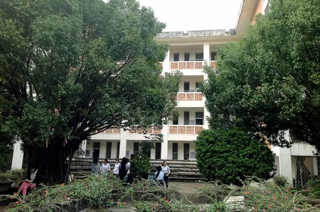 Francophonie: À Hanoi, des goûts et des couleurs culturelles ảnh 4