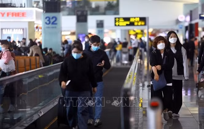 Trois nouvelles règles s’appliquent aux touristes étrangers au Vietnam ảnh 1